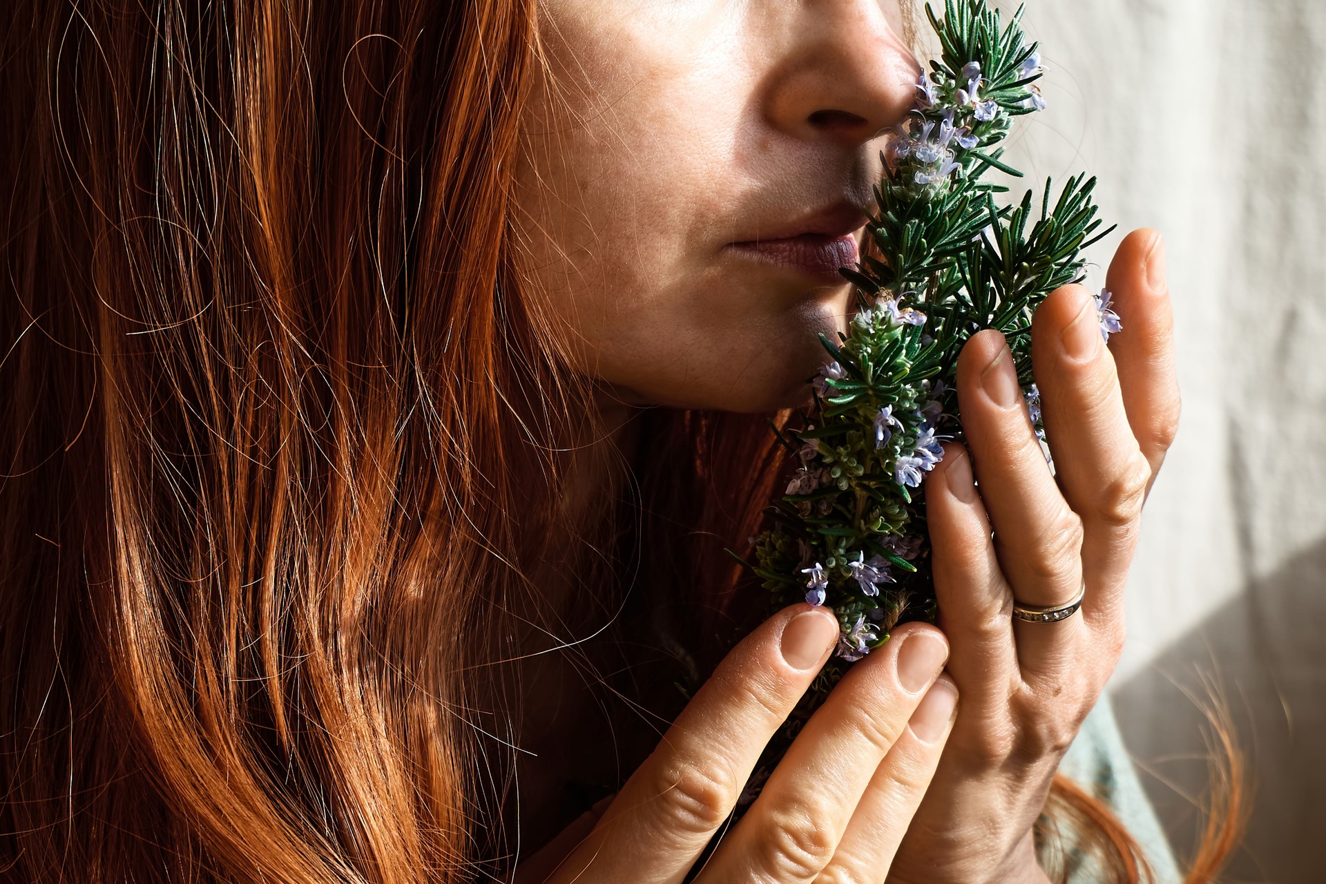 Redhead Woman holding in her hands a bunch of blooming rosemary and inhales it's scent. Herbalist woman preparing fresh organic herbs for natural herbal methods of treatment. Alternative medicine.
